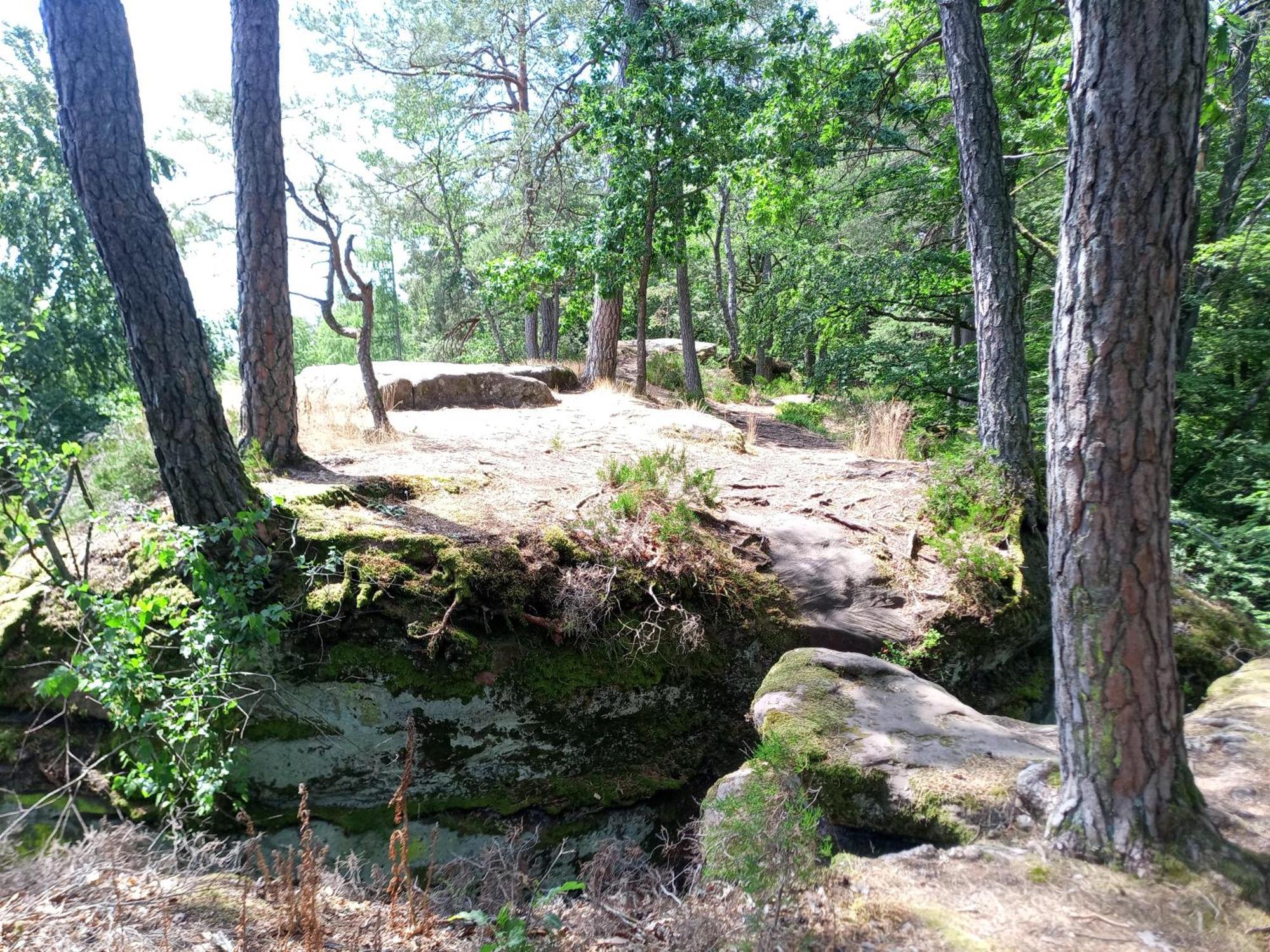 Zimmer Mit Sauna Und Kochgelegenheit Rott Buitenkant foto